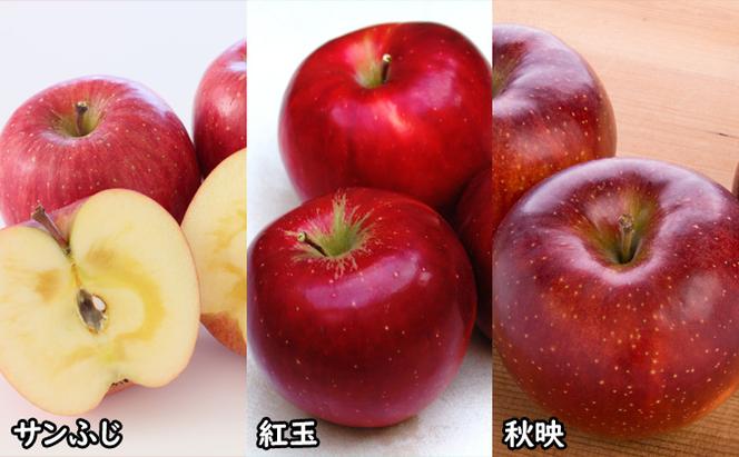 りんごジュース 信州産 りんご 6品種の ジュース 詰め合わせ リンゴ 長野