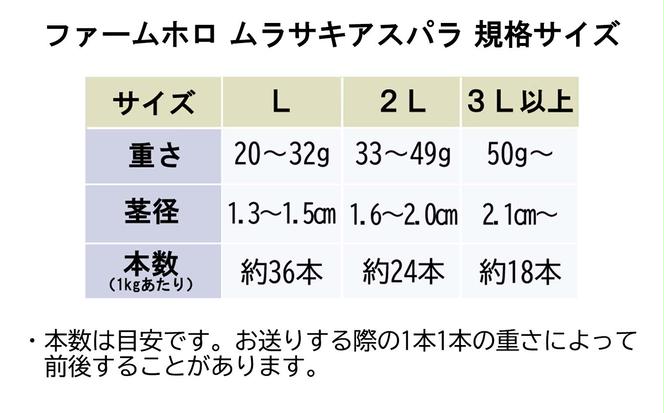 ＜先行予約＞ 北海道産 春採り ムラサキ アスパラガス 1kg Lサイズ ＜2024年5月上旬より発送＞