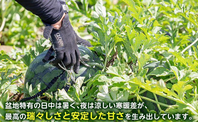 富良野産 大玉 スイカ L（6kg～）1玉【マイティ21】 北海道 富良野