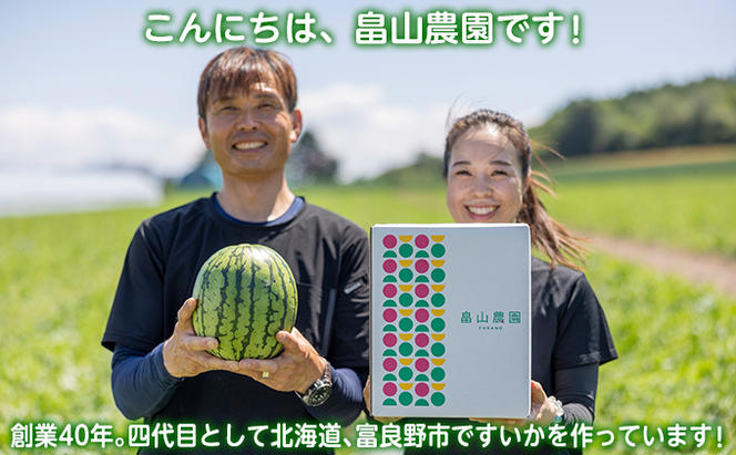 富良野産 大玉 スイカ L（6kg～）1玉【マイティ21】 北海道 富良野