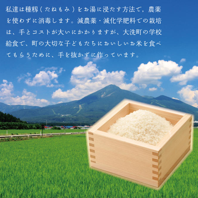 米 3kg  低農薬米 大洗 日の出米 コシヒカリ 令和5年産 特別栽培米 コメ こめ 送料無料