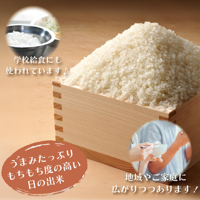 米 3kg  低農薬米 大洗 日の出米 コシヒカリ 令和5年産 特別栽培米 コメ こめ 送料無料