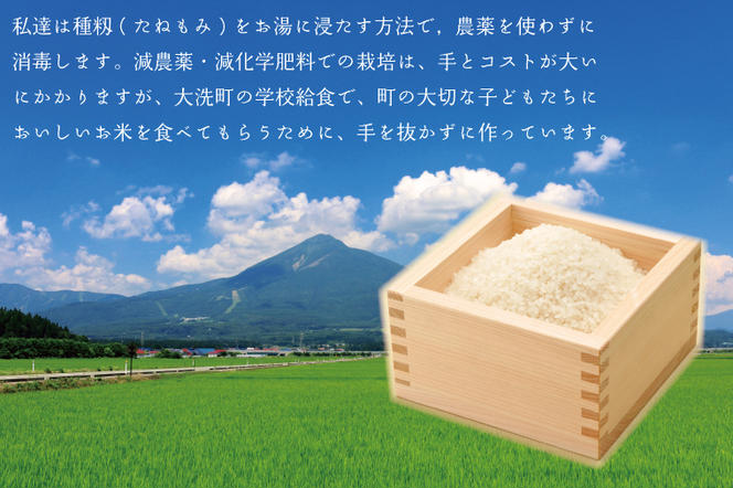 米 5kg 低農薬米 大洗 日の出米 コシヒカリ 令和5年産 特別栽培米 コメ こめ 送料無料