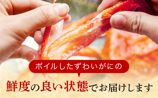 訳あり ボイル ずわいがに 1kg (4肩)規格外 不揃い 傷 足 訳アリ わけあり 脚折れ 3L 特大サイズ 弥七商店 かに弥 ずわい蟹 ズワイガニ  かに カニ 蟹 カニ足 脚 ずわい 鍋 数量限定（茨城県大洗町） | ふるさと納税サイト「ふるさとプレミアム」