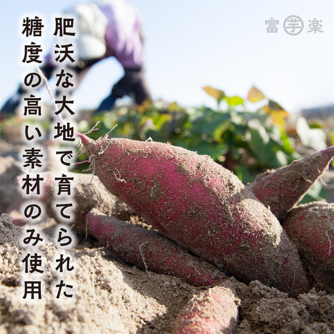 【先行予約】干し芋屋のさつまいも 熟成 紅はるか 生芋 5kg 無添加 無着色 茨城県産 サツマイモ 土付き 芋 さつまいも さつま芋 薩摩芋 紅遥 べにはるか