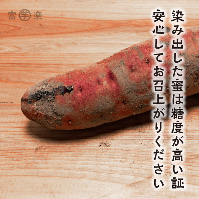 【先行予約】干し芋屋のさつまいも 熟成 紅はるか 生芋 5kg 無添加 無着色 茨城県産 サツマイモ 土付き 芋 さつまいも さつま芋 薩摩芋 紅遥 べにはるか