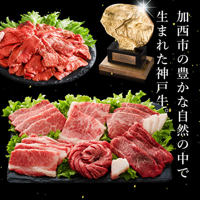 定期便 肉 神戸牛 満足4種【4ヶ月連続お届け】全4回 【赤身焼肉・肩ロースすき焼き肉・ロースステーキ3枚・焼肉食べ比べ 4ヵ月】定期便 お肉 牛肉 和牛 すき焼き ステーキ肉 ヒライ牧場 お届け：ご入金の翌月より毎月中旬頃