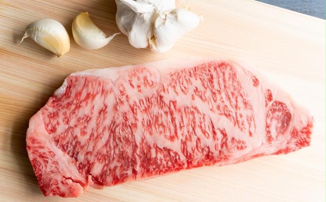 牛肉 サーロインステーキ 合計10kg 博多和牛 A4～A5 セット 250g×40枚 配送不可：離島