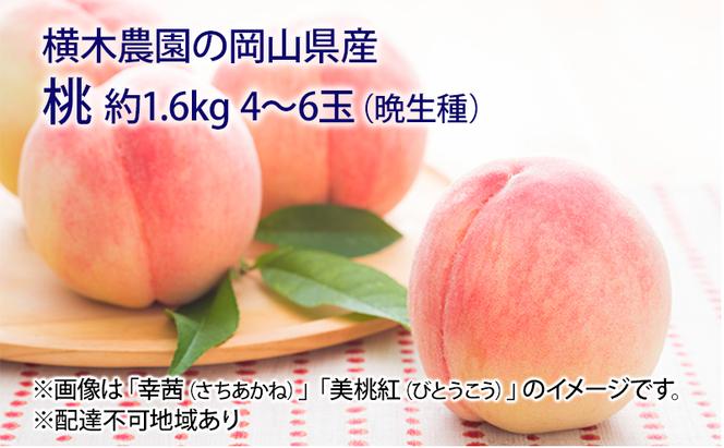 桃 2024年 先行予約 岡山の桃（晩生種）約1.6kg 4～6玉 もも モモ 岡山県産 国産 フルーツ 果物 ギフト 横木農園