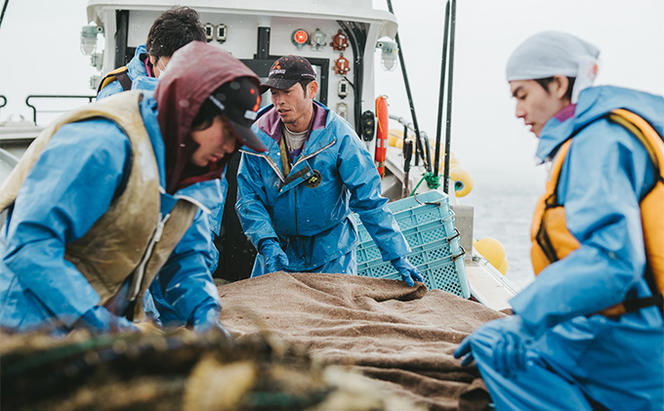 先行予約 【国内消費拡大求む】 北海道 オホーツク サロマ湖産 殻付き カキ 生食可 3.5kg 牡蠣職人厳選 牡蠣 国産 貝付き
