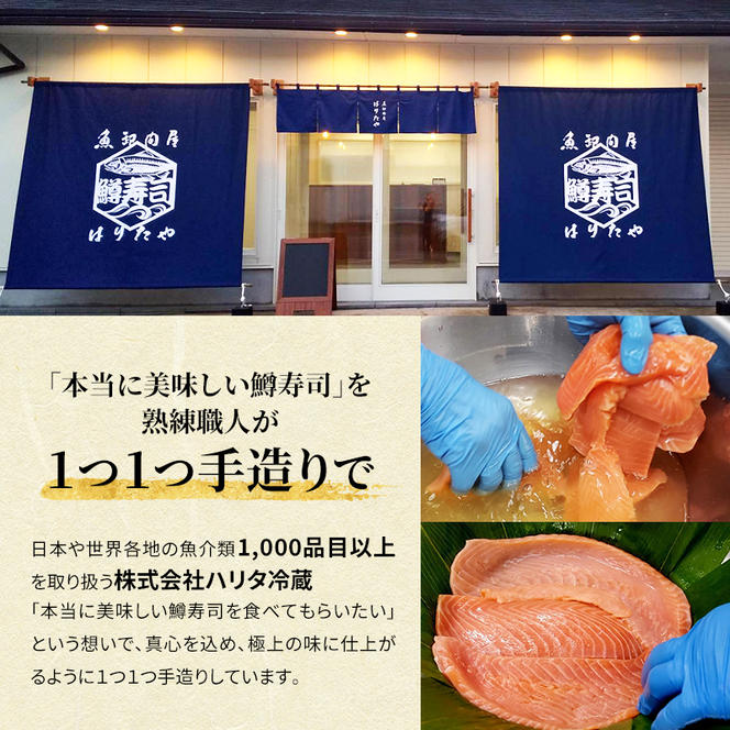 【6ヶ月定期便】【生】魚卸問屋の「鱒寿司」（超厚切り）1段×1個 はりたや