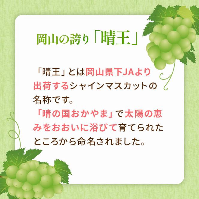 ぶどう 2024年 先行予約 シャイン マスカット 晴王 約600g×2房 ブドウ 葡萄  岡山県産 国産 フルーツ 果物 ギフト