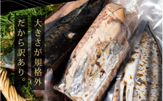 《隔月（2ヶ月に1回）6ヶ月定期便》訳あり 海鮮「カツオたたき1.5Kg」規格外 サイズ不揃い傷 わけあり鰹 人気 ランキング 定期 6回 本場 高知 かつおのたたき【高知県共通返礼品】冷凍 食品 訳アリかつおのタタキ【koyofr】故郷納税 48000円 食べ物 秋 旬 熨斗 のし