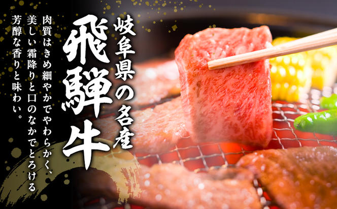 牛肉 飛騨牛 焼き肉 セット ロース 又は 肩ロース 1kg 黒毛和牛 Ａ5 美味しい お肉 牛 肉 和牛 焼肉 BBQ バーベキュー 【岐阜県瑞穂市】