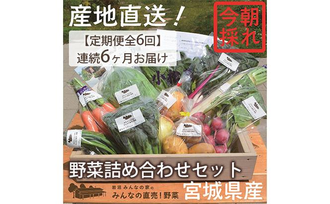 【定期便全6回】連続6ヶ月お届け！岩沼みんなの家の「みんなの直売！野菜」セット詰め合わせ