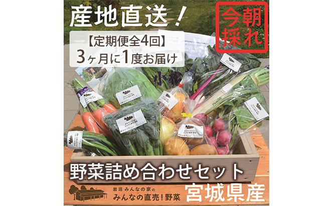 【定期便全4回】3ヶ月に1度お届け！岩沼みんなの家の「みんなの直売！野菜」セット詰め合わせ隔月4回