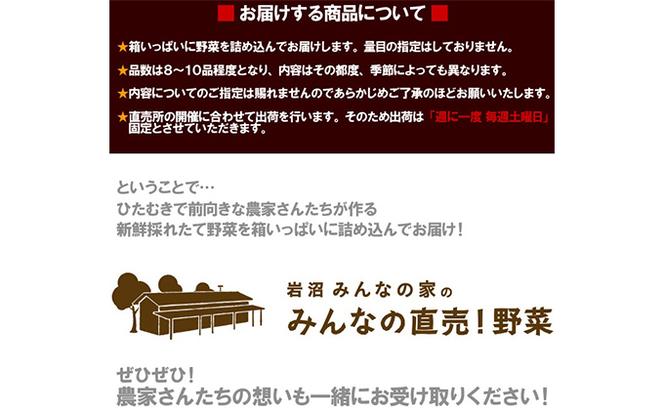 【定期便全4回】3ヶ月に1度お届け！岩沼みんなの家の「みんなの直売！野菜」セット詰め合わせ隔月4回