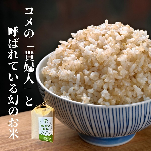 【希少品種米】ササニシキの親　農薬不使用のササシグレ「郷山のお米」5kg（玄米）
