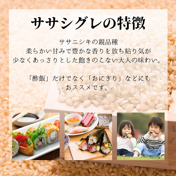 【希少品種米】ササニシキの親　農薬不使用のササシグレ「郷山のお米」4kg（2kg×2袋）（玄米）