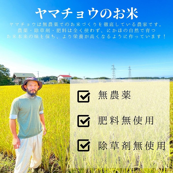 【希少品種米】ササニシキの親　農薬不使用のササシグレ「郷山のお米」2kg（玄米）