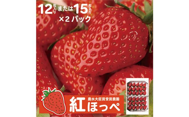 【配達地域限定】農水大臣賞受賞農園からお届け イチゴ大粒・紅ほっぺ ２パック  配送:2025年1月下旬頃より順次発送