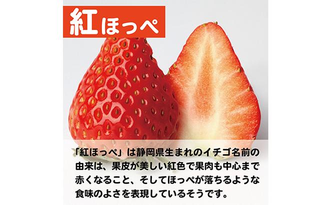 【配達地域限定】農水大臣賞受賞農園からお届け イチゴ・紅ほっぺ 4パック  配送:2025年1月下旬頃より順次発送