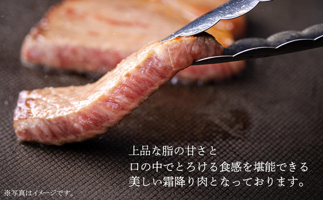 宮崎 県産 宮崎牛 サーロイン ステーキ 400g 200g×2枚 冷凍 送料無料