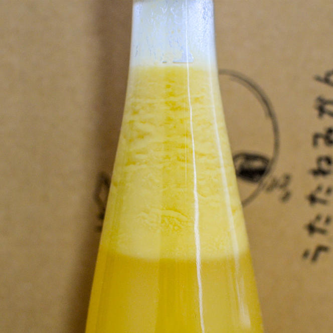 EA6002_リモンチェッロ 500ml 2本セット 綺麗な湧水で育てた完熟レモンでつくりました!