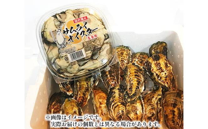 牡蠣 生食 坂越かき むき身 500g×1、 殻付き 10個(牡蠣ナイフ・軍手付き)サムライオイスター 生牡蠣 冬牡蠣