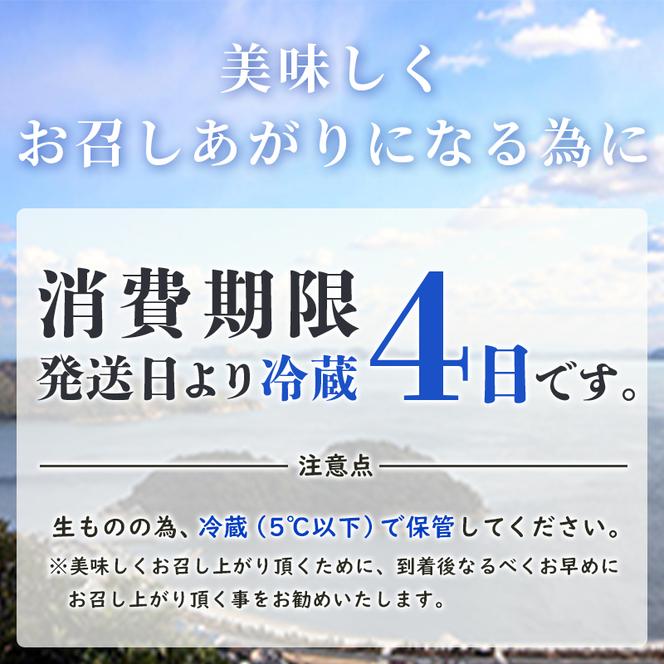 牡蠣 生食 坂越かき むき身 500g×1、 殻付き 10個(牡蠣ナイフ・軍手付き)サムライオイスター 生牡蠣 冬牡蠣