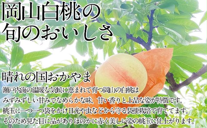 桃 2025年 先行予約 岡山の白桃 200g以上×8玉 白桃 旬 みずみずしい 晴れの国 おかやま 岡山県産 フルーツ王国 果物王国