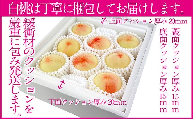 桃 2025年 先行予約 岡山の白桃 200g以上×8玉 白桃 旬 みずみずしい 晴れの国 おかやま 岡山県産 フルーツ王国 果物王国