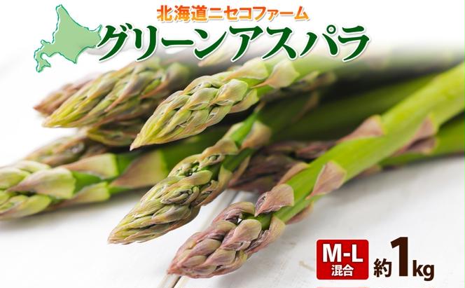 【 2025年 先行予約 】 北海道産 グリーン アスパラガス 約1kg M - L サイズ混合 アスパラガス アスパラ 旬 朝採り 新鮮 お取り寄せ 産地直送 産直 野菜 農作物 詰め合わせ 国産 しりべしや 