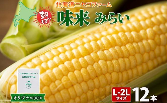 【 2025年 先行予約 】 北海道産 とうもろこし 味来 計12本 L-2L サイズ混合 大きめ みらい 旬 朝採り 新鮮 トウモロコシ 甘い 夏野菜 とうきび お取り寄せ 産地直送 野菜 しりべしや 送料無料 