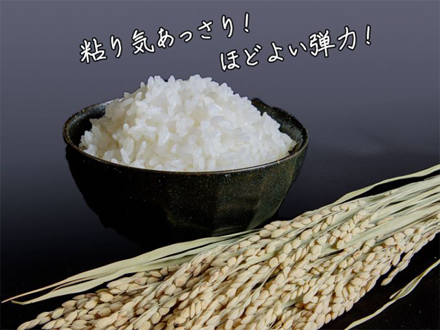 青森県鰺ヶ沢町【令和5年産】特別栽培米 まっしぐら 無洗米 5kg