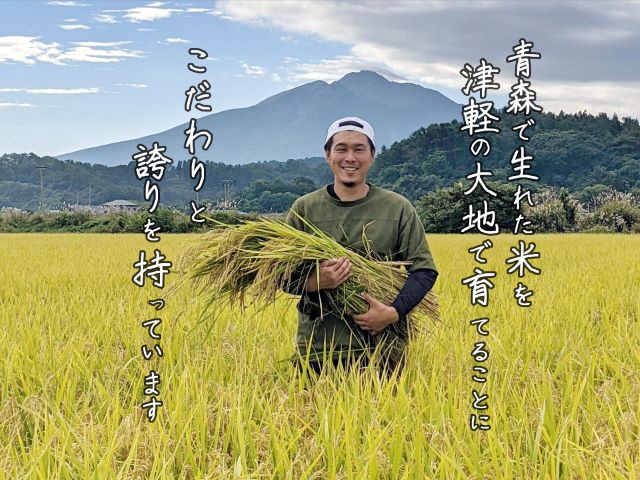 青森県鰺ヶ沢町【令和5年産】特別栽培米 まっしぐら 無洗米 5kg