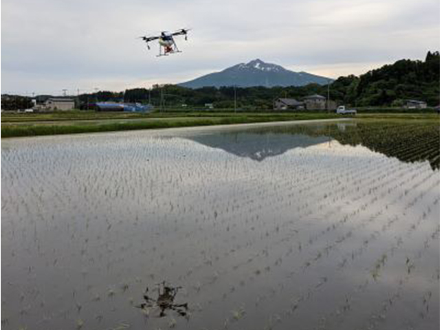 新米 令和6年産 まっしぐら 白米 5kg 1袋 米 精米 こめ お米 おこめ コメ ご飯 ごはん 令和6年 特別栽培米 H.GREENWORK 青森 青森県