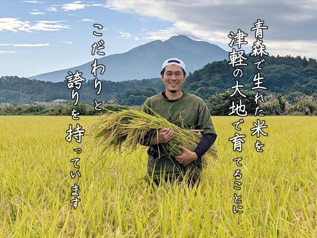 新米 令和6年産 まっしぐら 白米 5kg 1袋 米 精米 こめ お米 おこめ コメ ご飯 ごはん 令和6年 特別栽培米 H.GREENWORK 青森 青森県