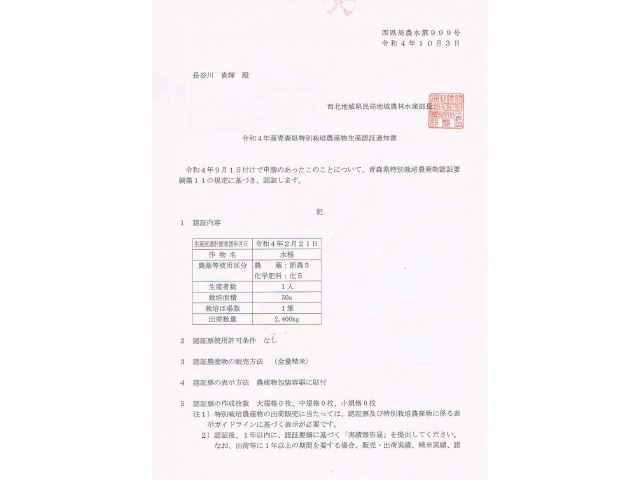 新米 令和6年産 まっしぐら 白米 5kg 1袋 米 精米 こめ お米 おこめ コメ ご飯 ごはん 令和6年 特別栽培米 H.GREENWORK 青森 青森県