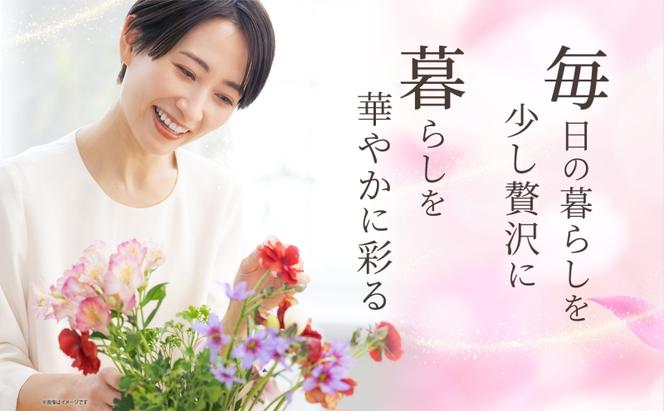 ［2024年7月～11月まで5ヵ月連続お届け］生産者直送！旬の花詰め合わせ〔4品種20本以上保証〕