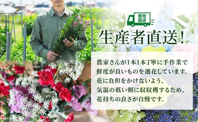 ［2024年7月～11月まで5ヵ月連続お届け］生産者直送！旬の花詰め合わせ〔4品種20本以上保証〕