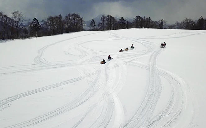 スノーモービル体験　ロングコース（約20分）2名様 体験チケット ペア  雪遊び スノーモービル