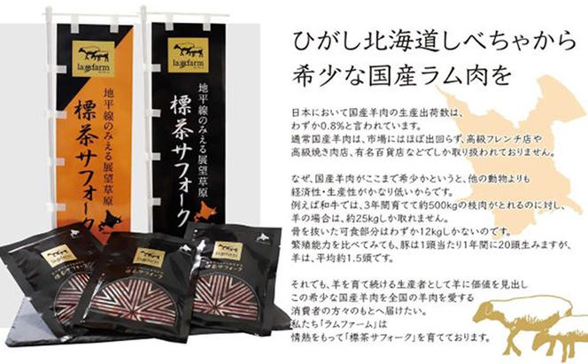 北海道産 標茶 サフォーク　ラム カレー 5食