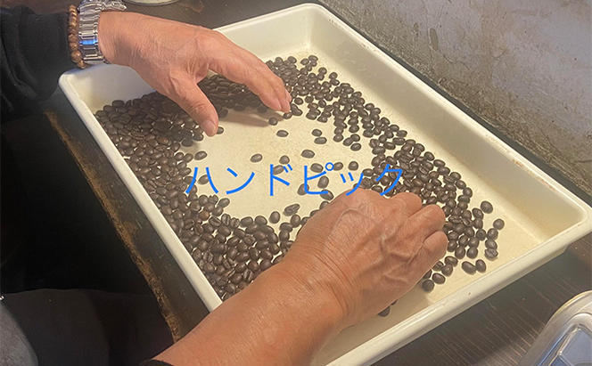 スペシャリティコーヒー詰め合わせセット（パナマゲイシャ100g＋スペシャリティブレンド200g）（豆）