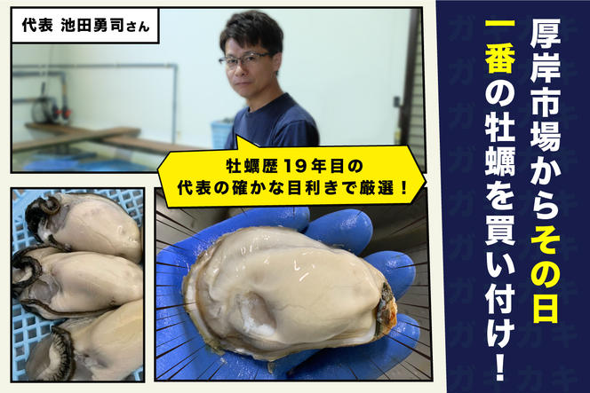 【 4ヵ月 定期便 】牡蠣 北海道 厚岸産 牡蠣むいちゃいました！ 生食用 500g (各回500g×4ヶ月分,合計約2kg) 