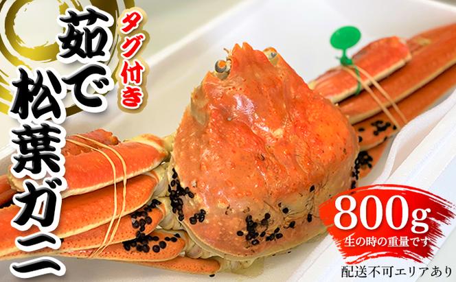 松葉ガニ 茹で タグ付き 800g up《2024年11月中旬?12月中旬、もしくは、2025年1月中旬以降以降順次発送》