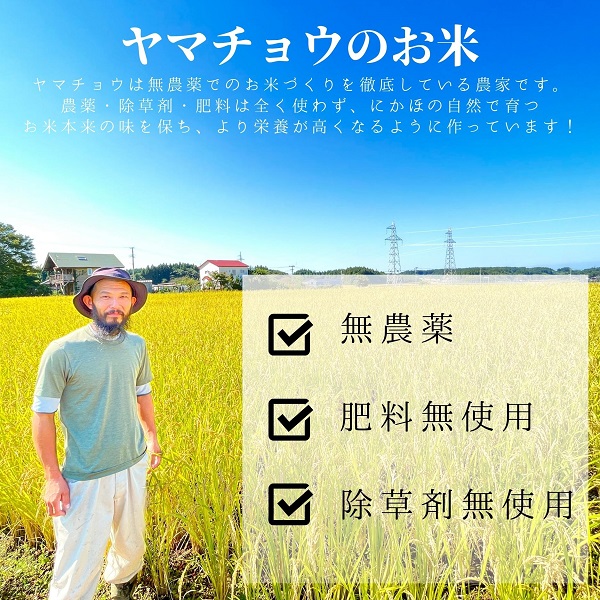 【古代米】農薬不使用の朝紫「郷山のお米」900g
