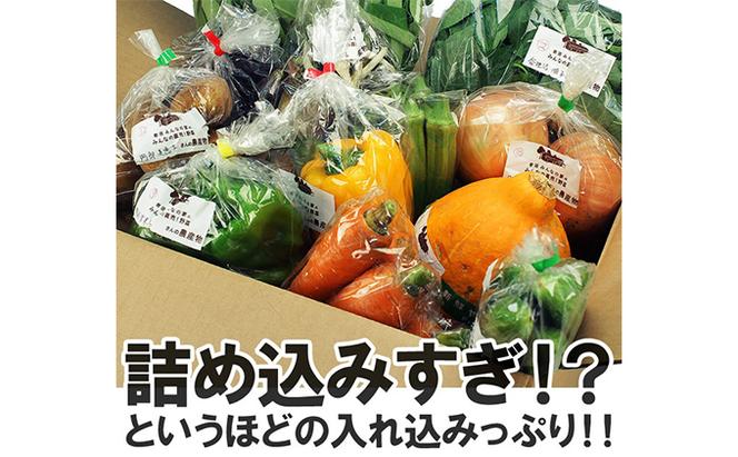 採れたて野菜を箱いっぱい詰め込んで♪岩沼みんなの家の「みんなの直売！野菜」セット詰め合わせ