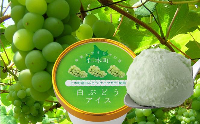 北海道 仁木町 アイス 3種 セット 12個入り 詰合せ さくらんぼ チェリー ぶどう グレープ ミルク 濃厚