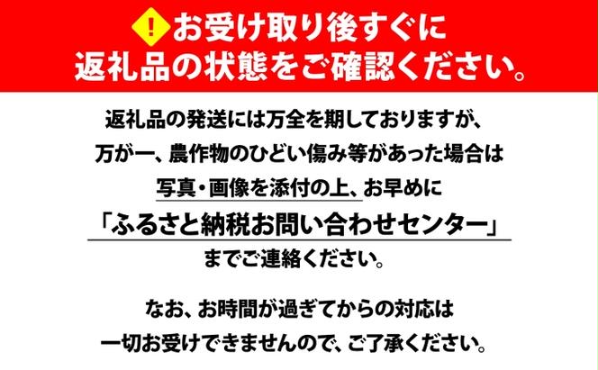 【 2025年 先行予約 】 北海道産 とうもろこし 計12本 L-2L サイズ混合 ロイシーコーン 大きめ 旬 朝採り 新鮮 トウモロコシ 甘い 夏野菜 とうきび お取り寄せ 産地直送 野菜 しりべしや 送料無料 